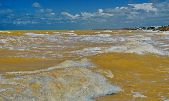 ​Пожелтевшее Черное море в Крыму на фоне голубого неба: уникальные кадры, напоминающие флаг Украины