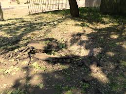 Последствия обстрела Путиловки 17.09.2014