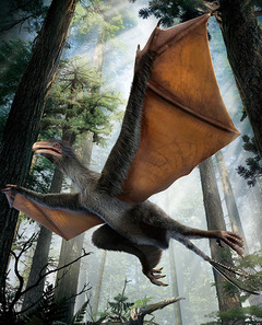 ​Ученые открыли новый вид динозавра с крыльями летучей мыши