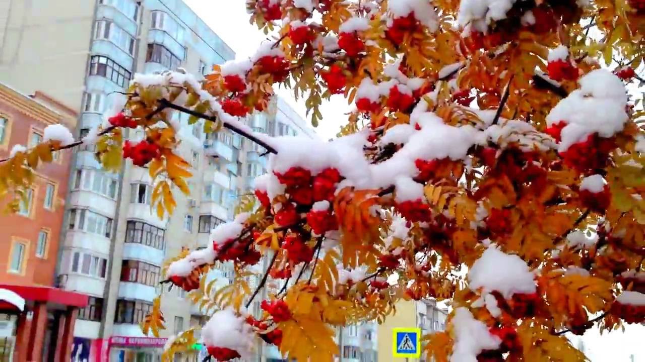 Зима уже подобралась к Украине: регионы накроют дожди с мокрым снегом и сильные ветра – подробный прогноз