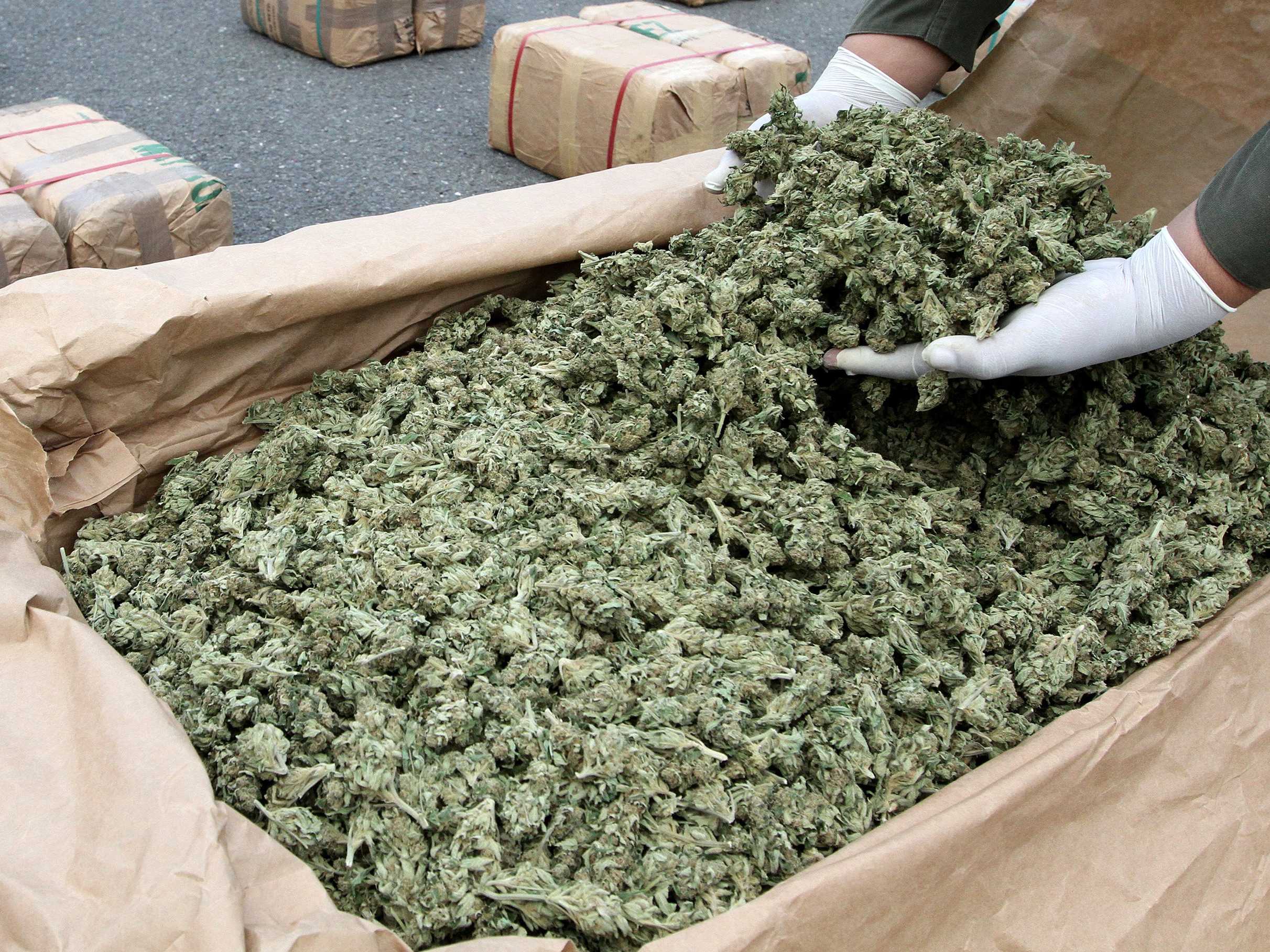 В Аргентине за одну операцию изъяли рекордные 12 тонн марихуаны