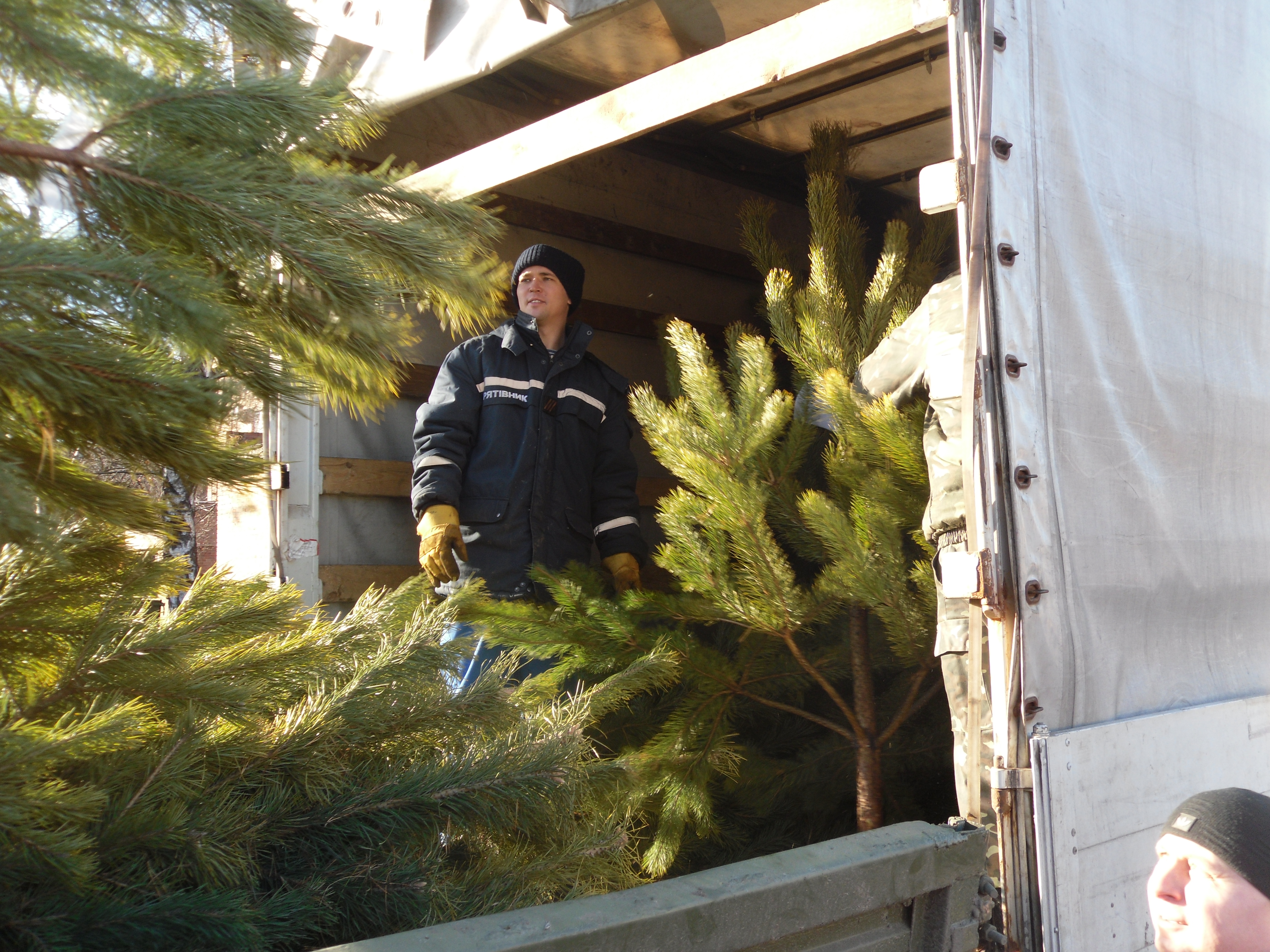 В Донбасс из Киева направляется груз с продуктами питания и елками