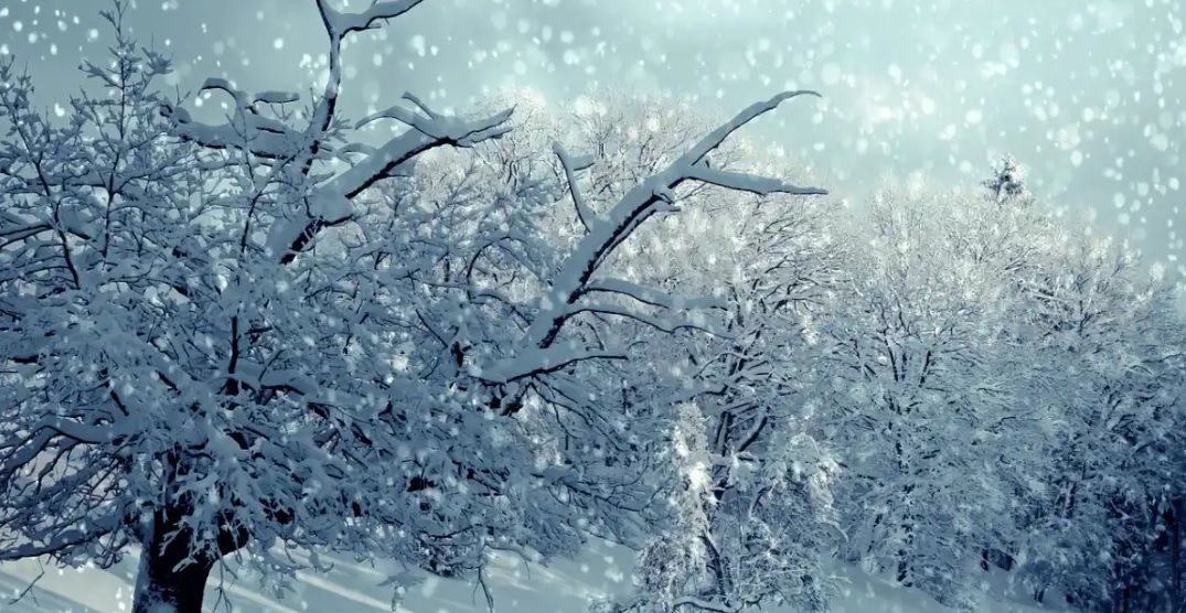 Один циклон уйдет, но страну накроет следующий, морозов до –30° не будет: к чему готовиться украинцам