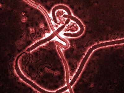 Вирусом лихорадки Эбола впервые заболел европеец. Опубликована карта вспышек заболевания в мире