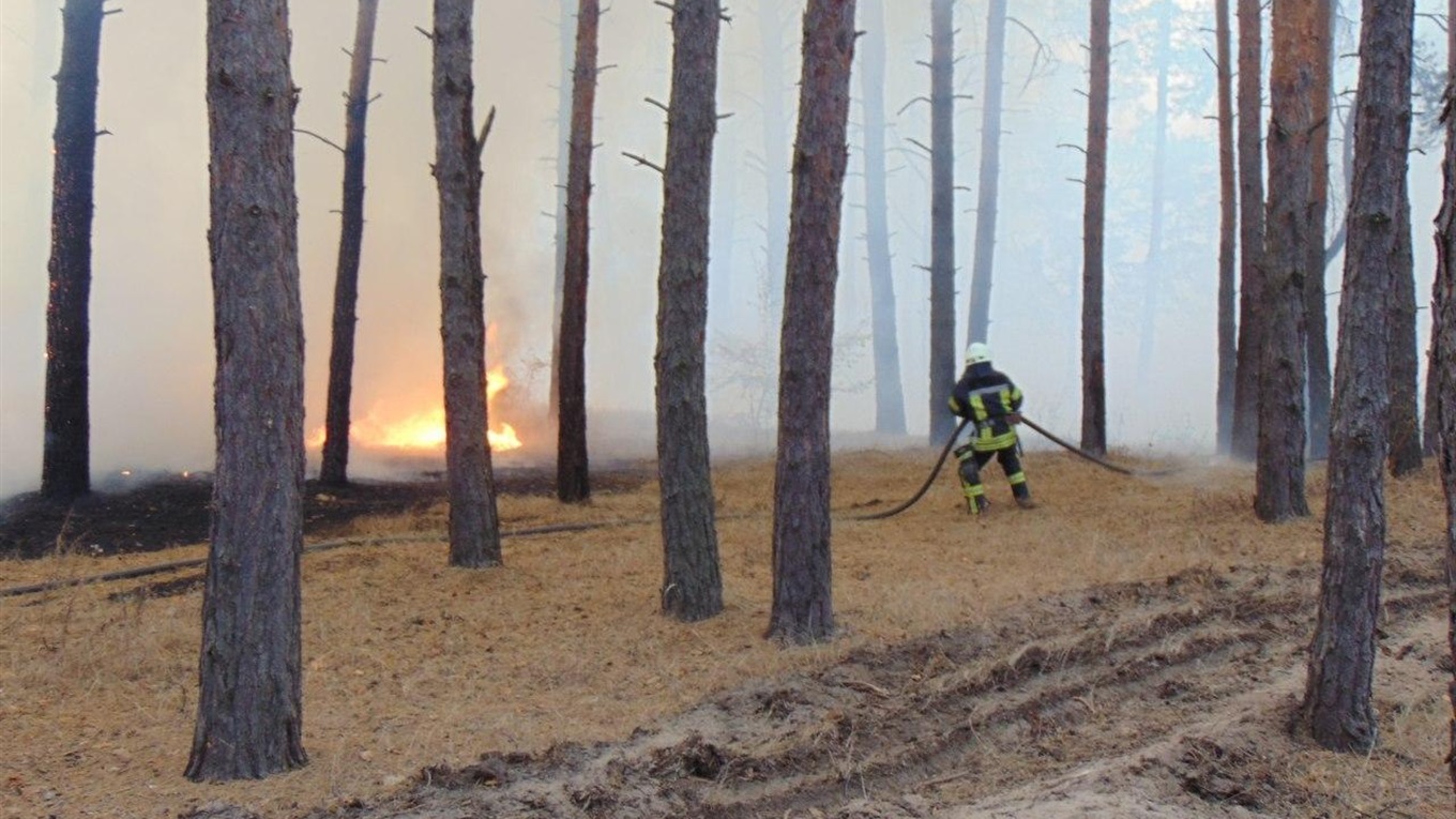 Пожары в Луганской области: власти пояснили, как к этому причастны боевики