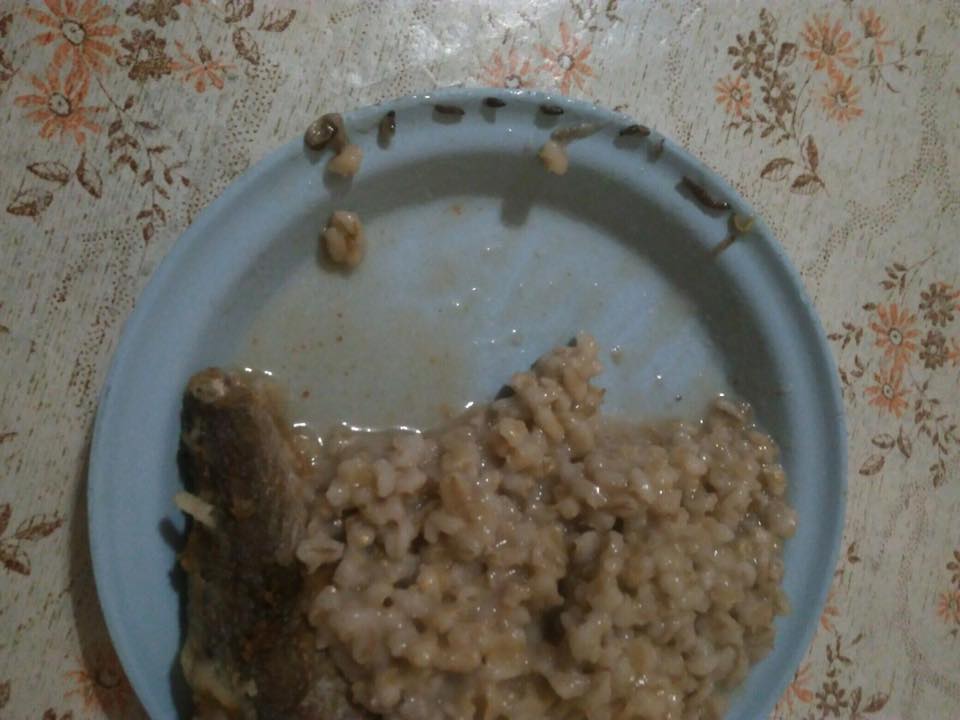 "Кому мы платим и за что мы боремся?!" - в военной части на Львовщине в еде призывников нашли червяков - Минбороны поручило расследовать некачественное питание военных - фотоснимки