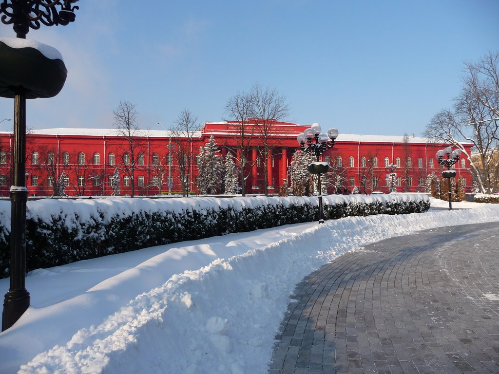 Главный университет Украины отменил пары до весны - названа причина