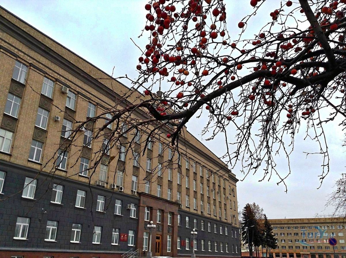 ​В Орле неизвестный поздравил Украину с праздником, отыгравшись на здании администрации: кадры