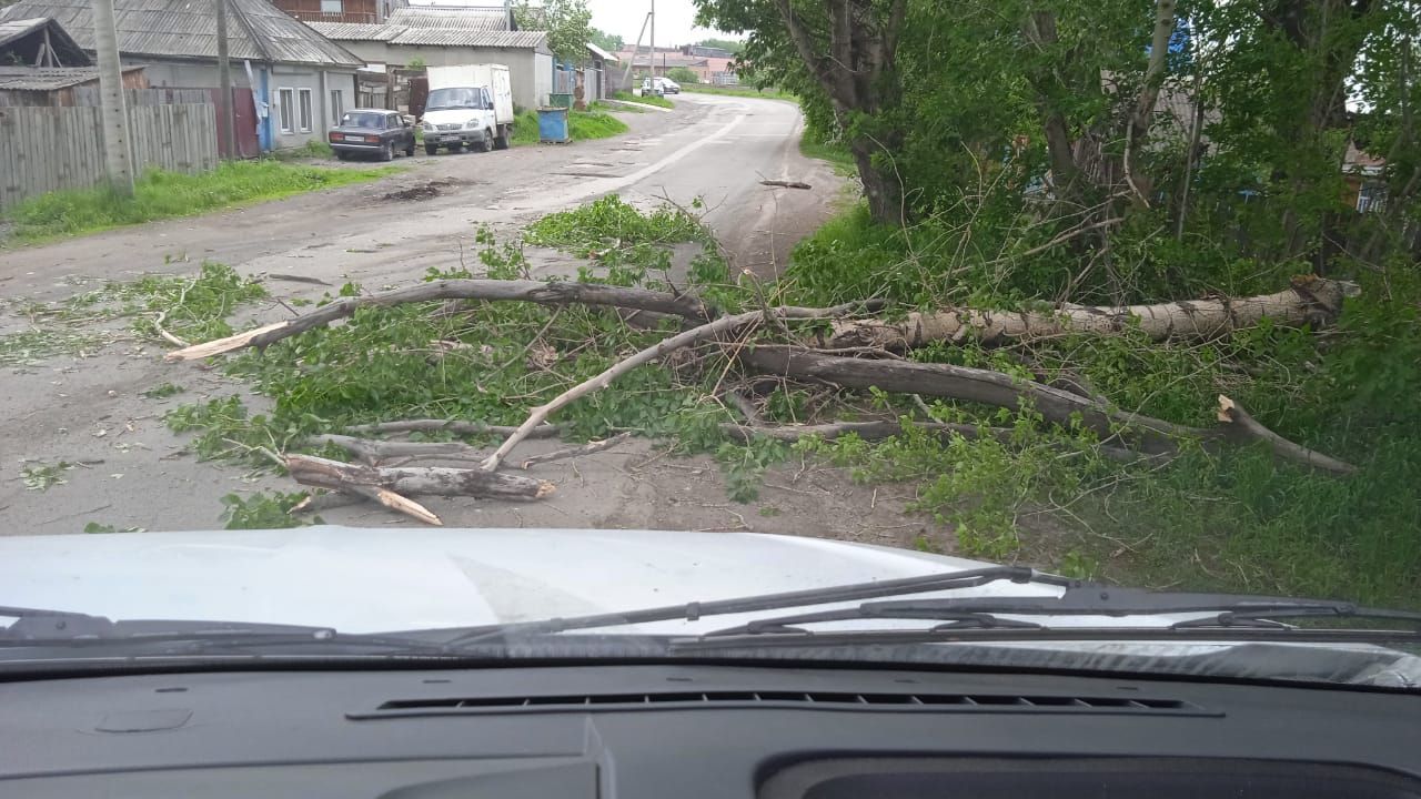  Сорваны крыши, пробки на трассе, и сломаны деревья: циклон пронесся по Полтавской области