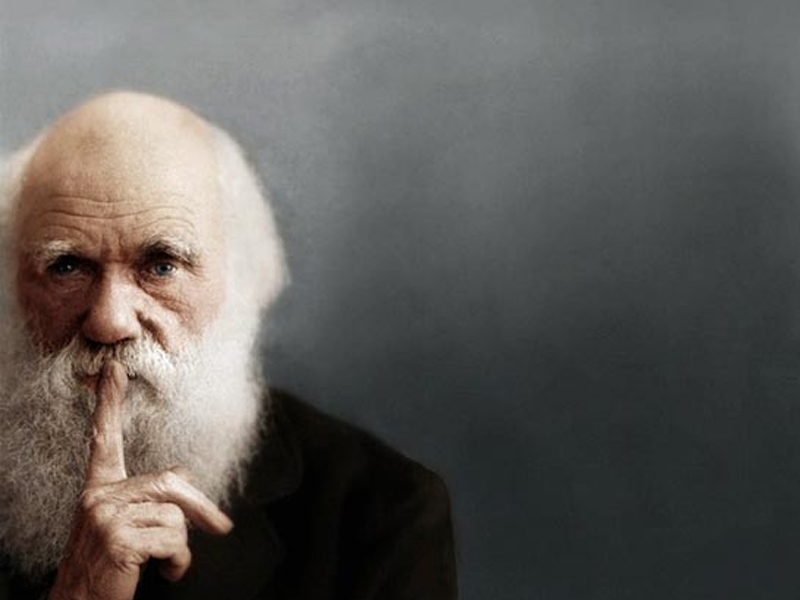 Дарвин заблуждался: американские специалисты нашли ошибку в теории знаменитого английского ученого – подробности