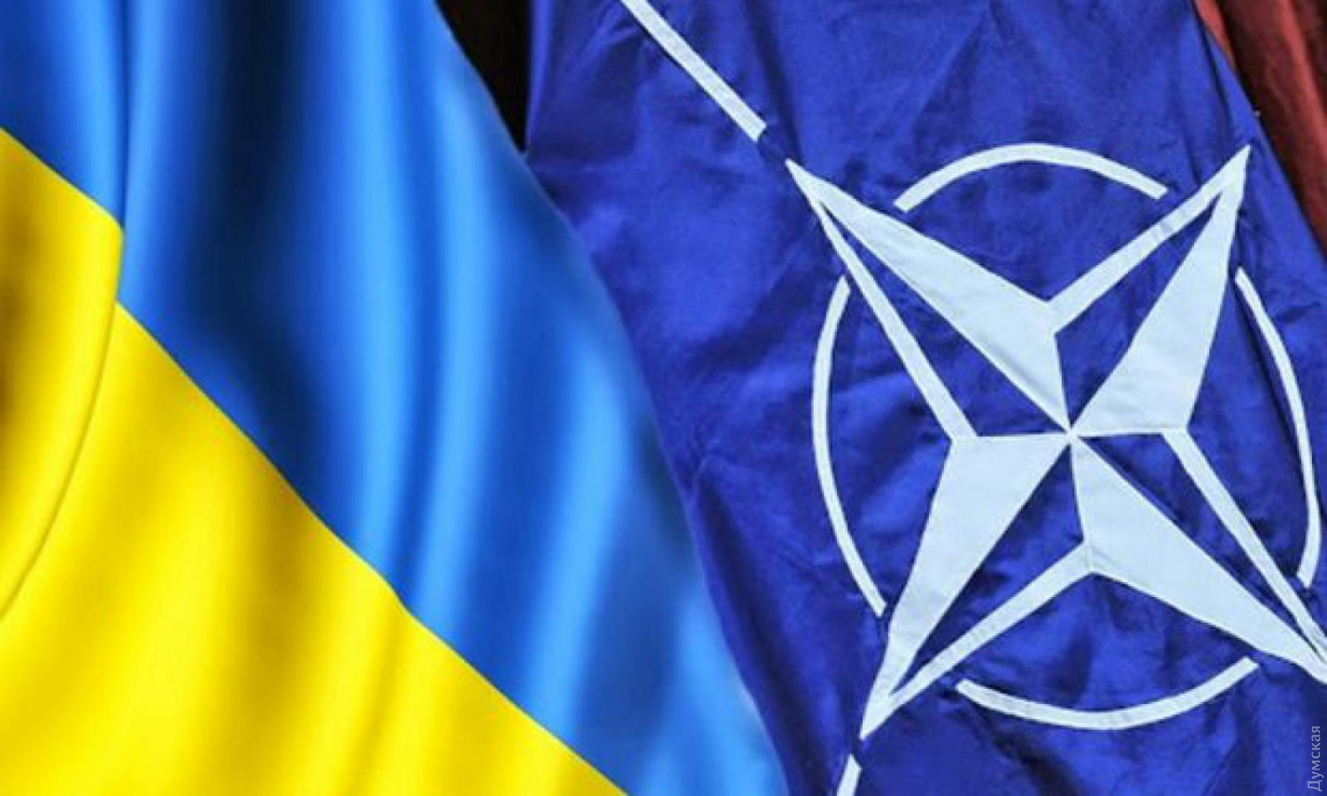 С Крымом и Донбассом: в Кабмине рассказали о вступлении Украины в НАТО