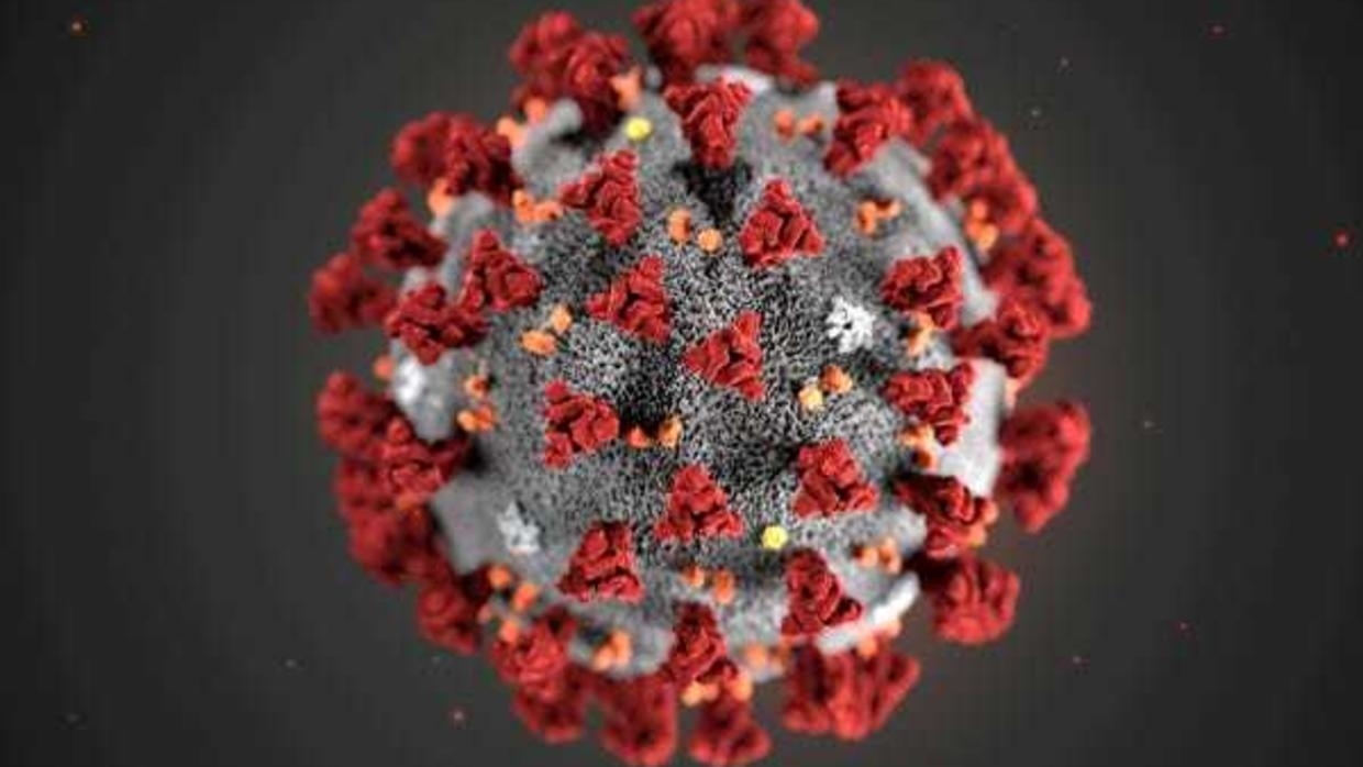 Что такое коронавирус: как передается и как проявляется, симптомы и профилактика