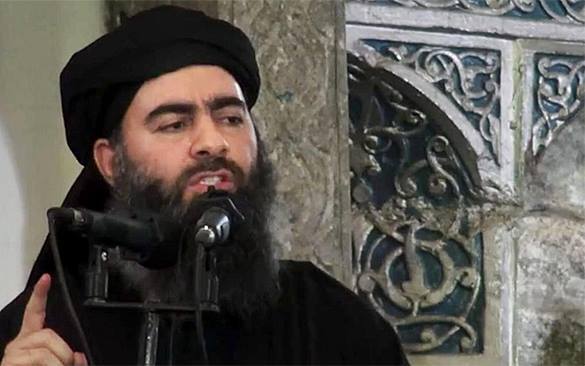 Бегство командира ИГИЛ: аль-Багдади покинул своих подчиненных и ударился в бега