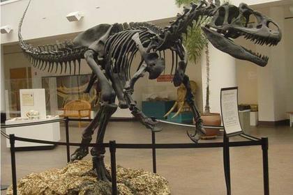 Уникальный скелет динозавра уйдет с молотка в Британии