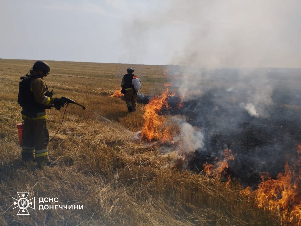 В Донецкой области полыхают пожары: какие районы под угрозой – ГСЧС