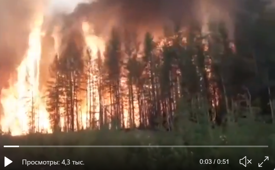 Россию с двух сторон накрыла страшная стихия: лесные пожары и затопления - большинство возгораний даже не тушат
