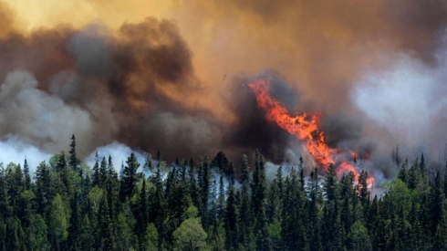 Россию охватили десятки лесных пожаров: горят Магадан, Сибирь и Бурятия