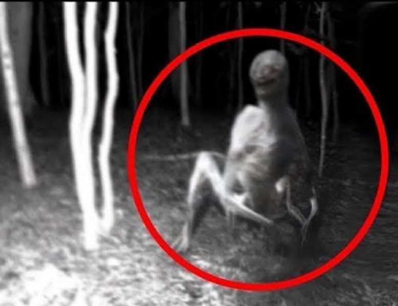 Туристы сняли "нападение" лешего с Нибиру: страшное раскоряченное существо появилось из аномальной зоны - фото