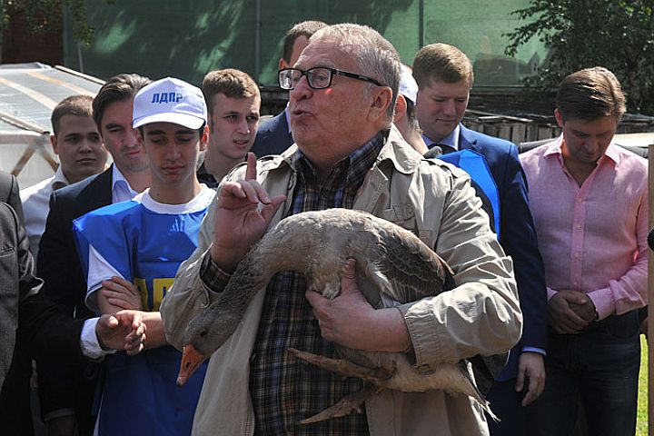 Одиозный "либерал-демократ" Жириновский: "У Путина есть план захвата Украины. Это нужно сделать 2-3 ноября"