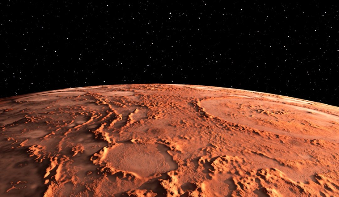 Кактус, череп и тигр: известный уфолог Скотт Уоринг обнаружил на поверхности Марса новые объекты