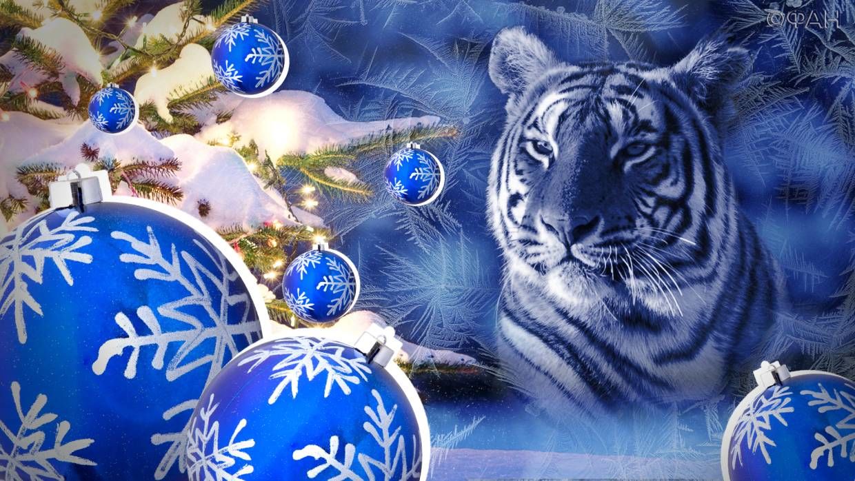 Неожиданный поворот событий: жизнь 3 знаков зодиака кардинально изменится в год Черного Тигра