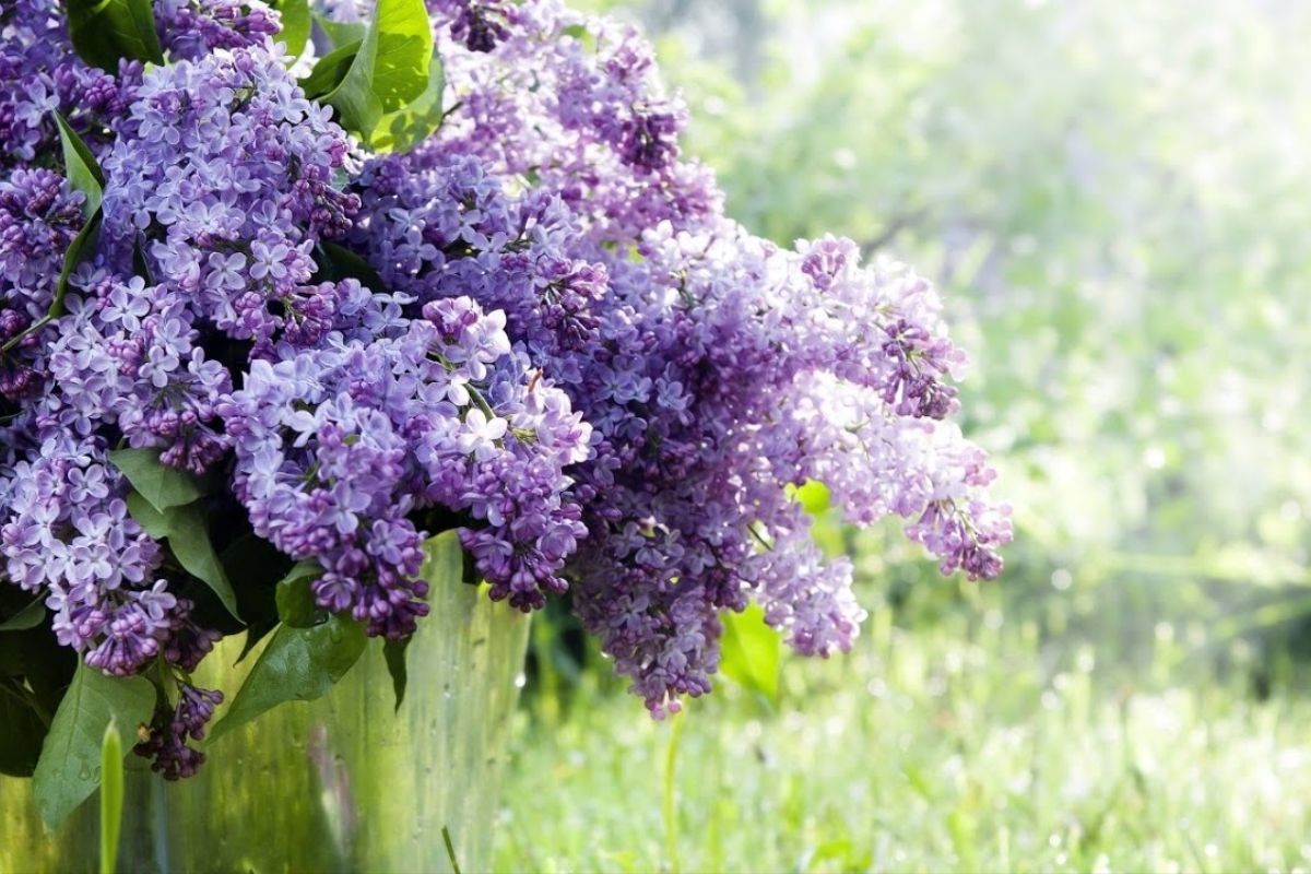 ​Будет ли холодно в Украине в мае: синоптики рассказали, чего ждать