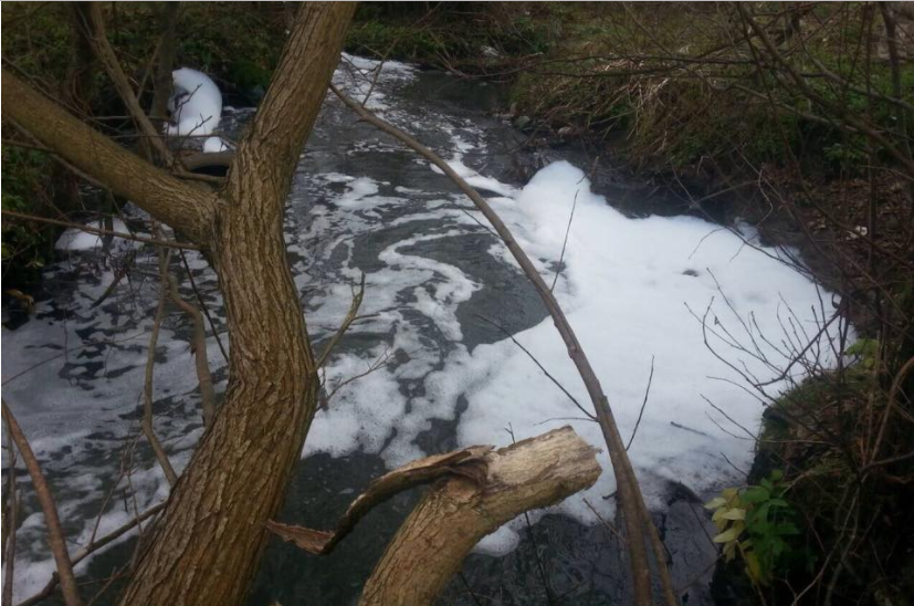 Пена порой достигает двух метров: во Львовской области отравили воду в реке, колодцах и скважинах - кадры