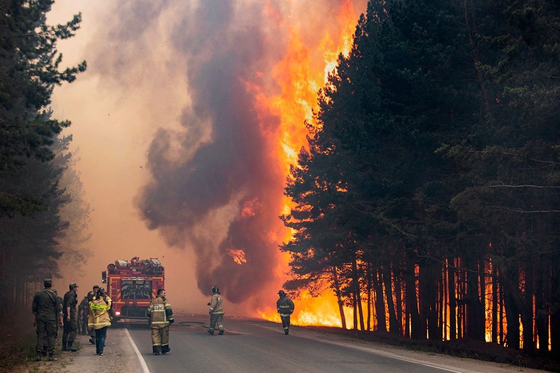 "Апокалиптические кадры": огонь приближается к Екатеринбургу, вокруг города пылают 10 пожаров