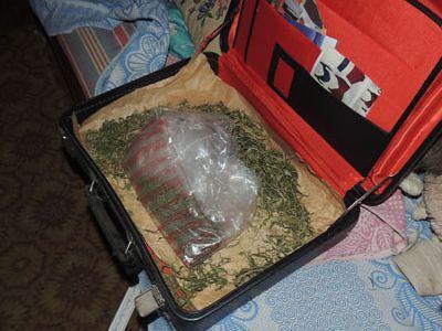 На Донбассе милиция арестовала торговцев опиумом и марихуаной