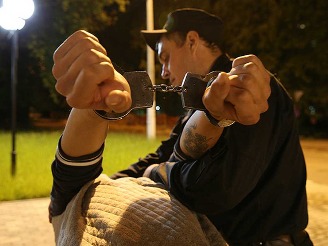 СМИ: Угрожавший взорвать людей на избирательном участке в Москве задержан, полиция ищет сообщника террориста