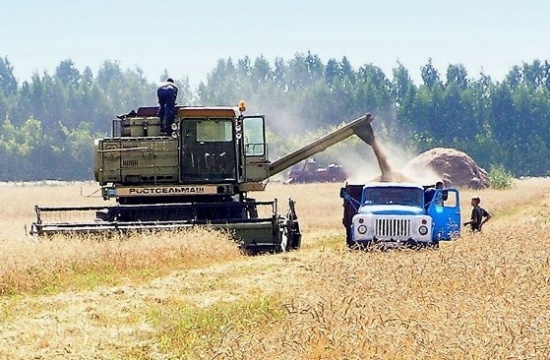 Гидрометцентр: нынешний урожай озимой пшеницы станет самым высоким за всю историю Украины