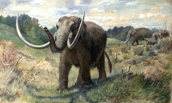 В США дети нашли гигантскую челюсть древнего млекопитающего – кадры