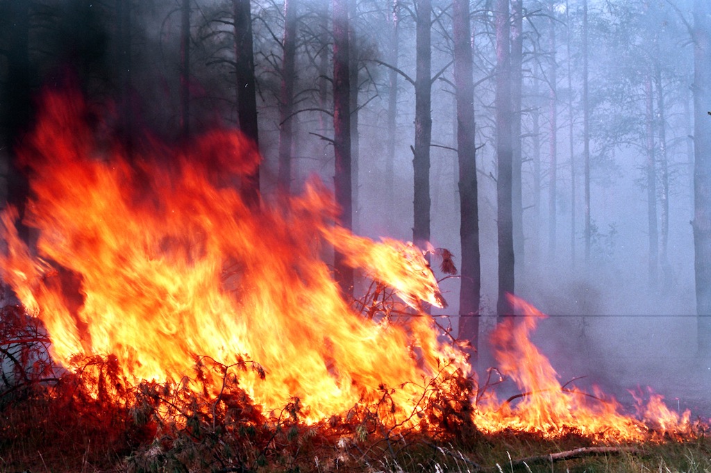 Сгоревшие заживо: Последние мгновения аргентинских пожарных 