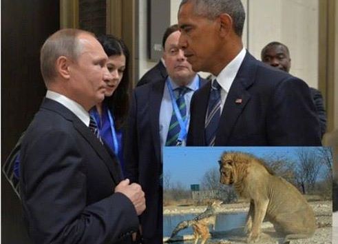 Кретинизм в политке: за два дня Путин наболтал на целый пакет санкций - Джуберг