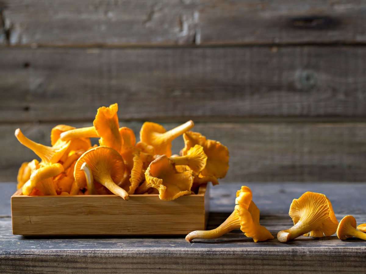 Майтаке, портобелло или шиитаке: топ самых полезных грибов