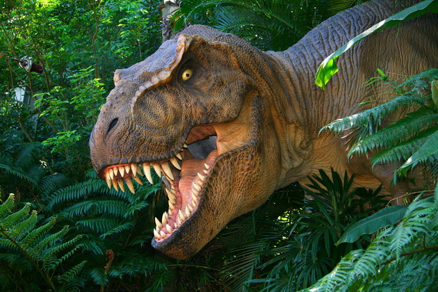 Ученые нашли останки нового вида динозавров