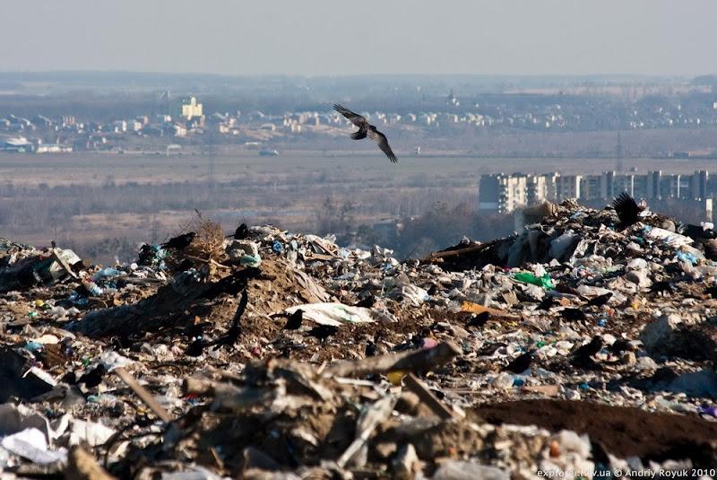 Грибовицкую свалку под Львовом тушит авиация: тлеющая часть горы мусора обвалилась, видимые очаги возгорания погасили