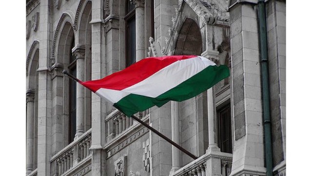 Активисты "Свободы" пытались сжечь флаг Венгрии в Закарпатье: опубликованы кадры