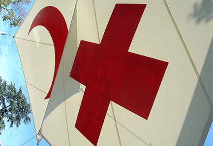 Красный Крест приступил к осмотру российского гуманитарного груза