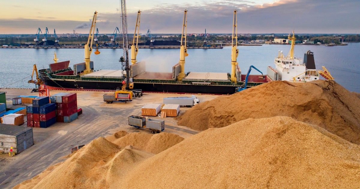 В аграрном секторе Украины назревает катастрофа – Bloomberg называет причины