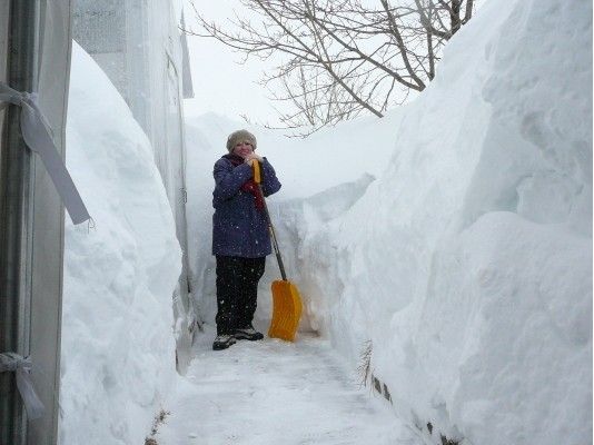 В Канаде 14 000 человек до сих пор остаются без света из-за снегопадов