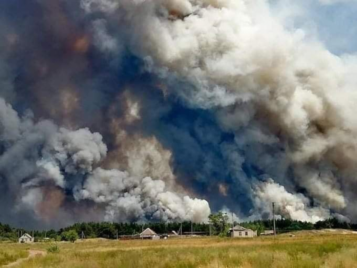 Новоайдар отрезан огнем: лесной пожар уничтожил больше сотни домов, число жертв растет