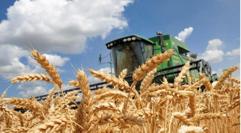 ​Турция занимается скупкой краденного Россией зерна в Украине – Reuters