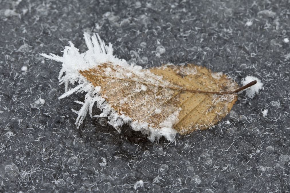 Погода на Николая: Украина войдет в выходные с холодом и сильным ветром