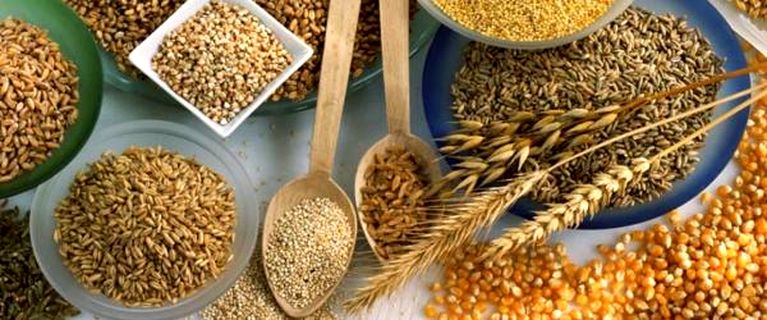 Министр агрополитики: Ожидается прирост зерновых культур на 16 %