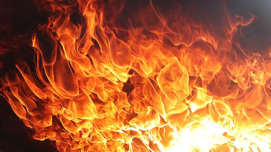 Под Киевом в пожаре заживо сгорели тысячи кур-бройлеров: спасатели показали кадры с места ЧП