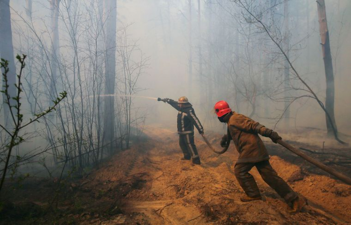 Пожары в Чернобыле: огонь охватил торфяные болота, ситуация крайне нестабильна, детали 