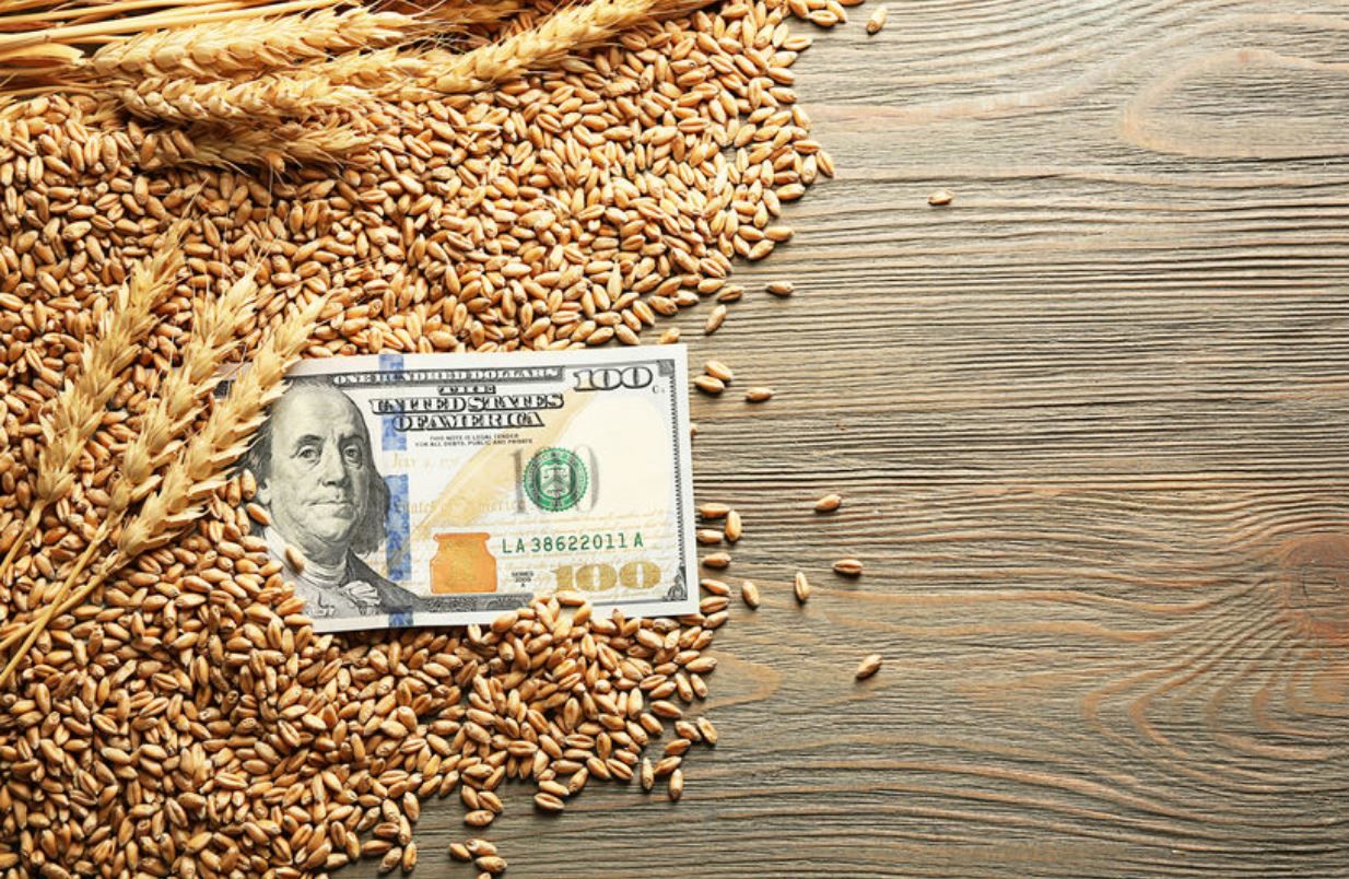 "Ситуация станет патовой", – аналитик озвучил, на что особенно повлияет военный конфликт в Украине