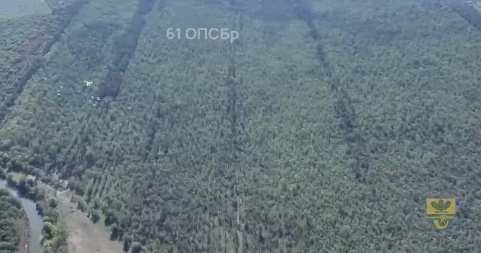 Бомбардировку оккупантов двумя истребителями "СУ-24М" показали крупным планом на видео