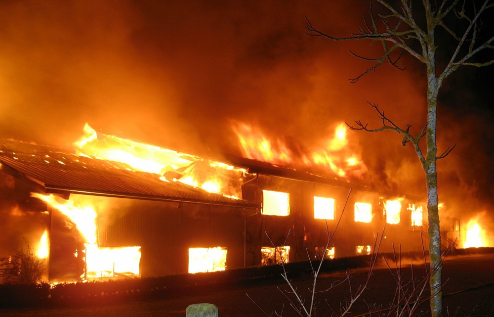 В Киевской области спасатели почти 10 часов тушили мощный пожар на ферме: количество погибших животных устрашающее